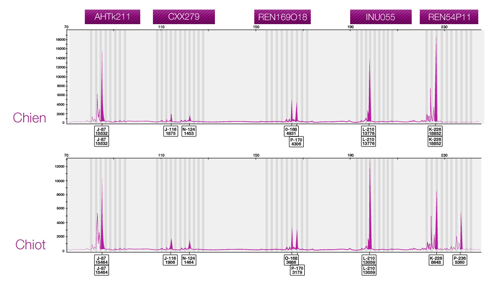 PediGENE - Tableau de comparaison de marqueurs d'ADN
