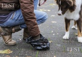 Le coût des déjections canines à Besançon