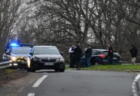 Huit personnes blessées par des chiens errants près de Vierzon